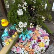 ヒメ日記 2025/04/07 09:50 投稿 ひろこ 五反田・品川おかあさん