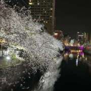 ヒメ日記 2025/04/10 14:23 投稿 ひろこ 五反田・品川おかあさん