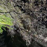 ヒメ日記 2025/04/16 17:23 投稿 ひろこ 五反田・品川おかあさん