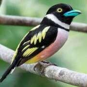 ヒメ日記 2025/04/21 09:13 投稿 ひろこ 五反田・品川おかあさん