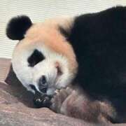 ヒメ日記 2025/04/25 17:43 投稿 ひろこ 五反田・品川おかあさん