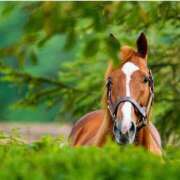 ヒメ日記 2025/06/13 16:53 投稿 ひろこ 五反田・品川おかあさん