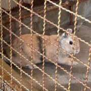 ヒメ日記 2025/06/22 18:53 投稿 ひろこ 五反田・品川おかあさん