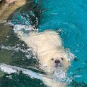 ヒメ日記 2025/07/10 14:13 投稿 ひろこ 五反田・品川おかあさん