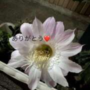 ヒメ日記 2025/07/11 16:53 投稿 ひろこ 五反田・品川おかあさん