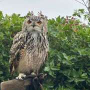 ヒメ日記 2025/07/21 08:04 投稿 ひろこ 五反田・品川おかあさん
