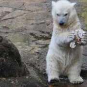 ヒメ日記 2025/07/27 11:35 投稿 ひろこ 五反田・品川おかあさん