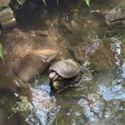 ヒメ日記 2025/07/31 15:53 投稿 ひろこ 五反田・品川おかあさん