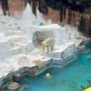 ヒメ日記 2025/08/15 19:04 投稿 ひろこ 五反田・品川おかあさん