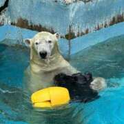 ヒメ日記 2025/08/16 11:53 投稿 ひろこ 五反田・品川おかあさん