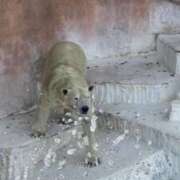 ヒメ日記 2025/08/16 14:53 投稿 ひろこ 五反田・品川おかあさん