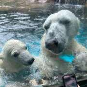 ヒメ日記 2025/08/16 22:43 投稿 ひろこ 五反田・品川おかあさん