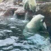 ヒメ日記 2025/08/22 18:33 投稿 ひろこ 五反田・品川おかあさん