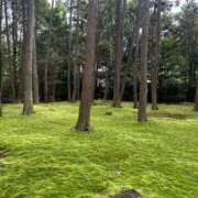 ヒメ日記 2025/08/26 13:53 投稿 ひろこ 五反田・品川おかあさん