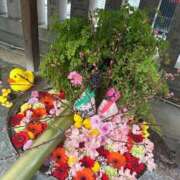 ヒメ日記 2025/08/28 16:33 投稿 ひろこ 五反田・品川おかあさん