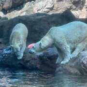 ヒメ日記 2025/09/01 09:23 投稿 ひろこ 五反田・品川おかあさん