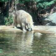 ヒメ日記 2025/09/01 20:13 投稿 ひろこ 五反田・品川おかあさん