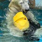 ヒメ日記 2025/09/03 09:23 投稿 ひろこ 五反田・品川おかあさん