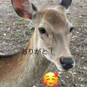 ヒメ日記 2025/09/03 10:13 投稿 ひろこ 五反田・品川おかあさん