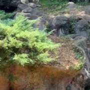 ヒメ日記 2025/09/05 14:43 投稿 ひろこ 五反田・品川おかあさん