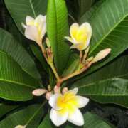 ヒメ日記 2025/09/13 09:53 投稿 ひろこ 五反田・品川おかあさん