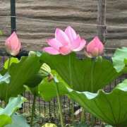 ヒメ日記 2025/09/15 09:03 投稿 ひろこ 五反田・品川おかあさん