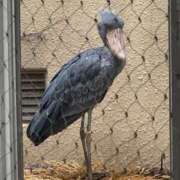 ヒメ日記 2025/09/15 12:23 投稿 ひろこ 五反田・品川おかあさん