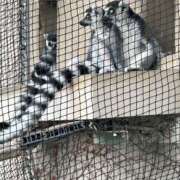 ヒメ日記 2025/09/17 09:33 投稿 ひろこ 五反田・品川おかあさん