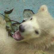 ヒメ日記 2025/09/18 14:03 投稿 ひろこ 五反田・品川おかあさん