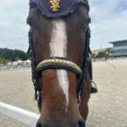 ヒメ日記 2025/09/23 12:23 投稿 ひろこ 五反田・品川おかあさん