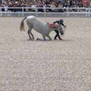 ヒメ日記 2025/09/24 22:53 投稿 ひろこ 五反田・品川おかあさん