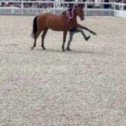 ヒメ日記 2025/09/25 23:13 投稿 ひろこ 五反田・品川おかあさん