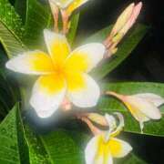 ヒメ日記 2025/09/26 17:33 投稿 ひろこ 五反田・品川おかあさん