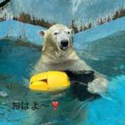 ヒメ日記 2025/09/29 09:13 投稿 ひろこ 五反田・品川おかあさん