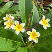 ヒメ日記 2025/10/10 20:13 投稿 ひろこ 五反田・品川おかあさん