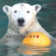 ヒメ日記 2025/10/17 09:43 投稿 ひろこ 五反田・品川おかあさん