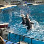 ヒメ日記 2025/10/20 09:43 投稿 ひろこ 五反田・品川おかあさん