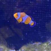 ヒメ日記 2025/10/27 08:53 投稿 ひろこ 五反田・品川おかあさん