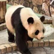 ヒメ日記 2025/11/06 10:13 投稿 ひろこ 五反田・品川おかあさん