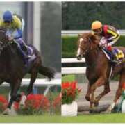 ヒメ日記 2025/11/11 10:13 投稿 ひろこ 五反田・品川おかあさん