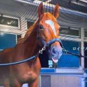 ヒメ日記 2025/11/13 15:43 投稿 ひろこ 五反田・品川おかあさん