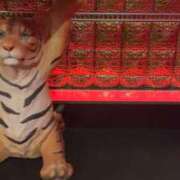 ヒメ日記 2025/11/24 10:33 投稿 ひろこ 五反田・品川おかあさん