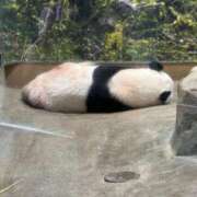 ヒメ日記 2025/12/16 10:23 投稿 ひろこ 五反田・品川おかあさん