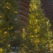 ヒメ日記 2025/12/18 20:53 投稿 ひろこ 五反田・品川おかあさん