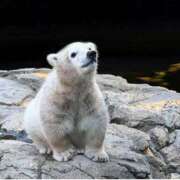 ヒメ日記 2025/12/19 10:03 投稿 ひろこ 五反田・品川おかあさん