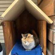 ヒメ日記 2025/12/22 15:13 投稿 ひろこ 五反田・品川おかあさん