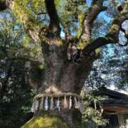 ヒメ日記 2026/01/07 15:23 投稿 ひろこ 五反田・品川おかあさん