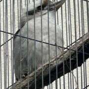 ヒメ日記 2026/01/09 15:43 投稿 ひろこ 五反田・品川おかあさん