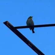 ヒメ日記 2026/01/12 08:43 投稿 ひろこ 五反田・品川おかあさん