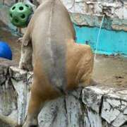 ヒメ日記 2026/01/16 23:13 投稿 ひろこ 五反田・品川おかあさん